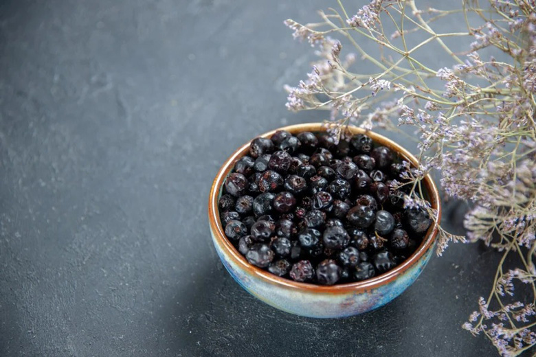 Wholesale Dried Blueberry Chips in Emirates