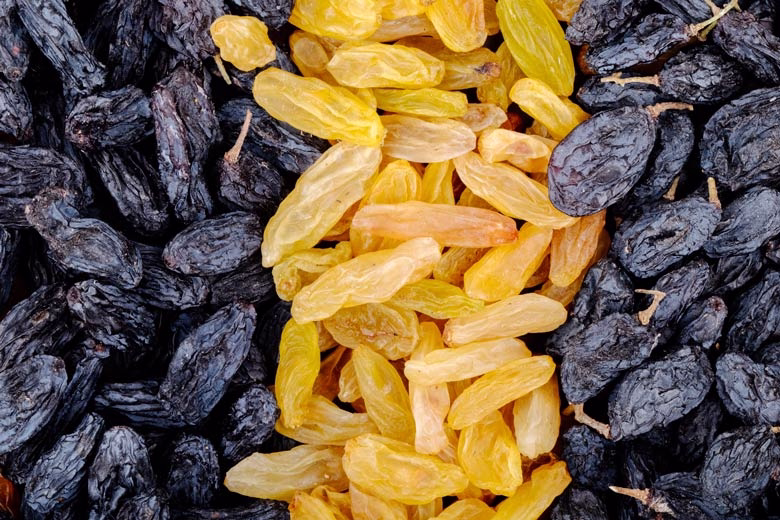 Jumbo Raisin