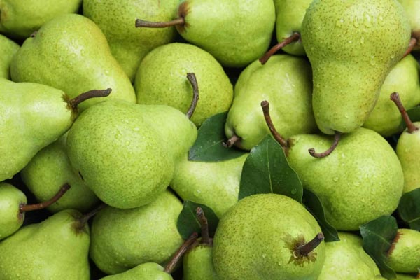 Green Pears Green Pears