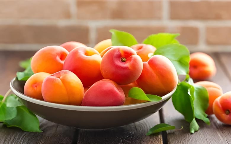 المشمش الإيراني بالجملة | شراء المشمش بكميات كبيرة + السعر