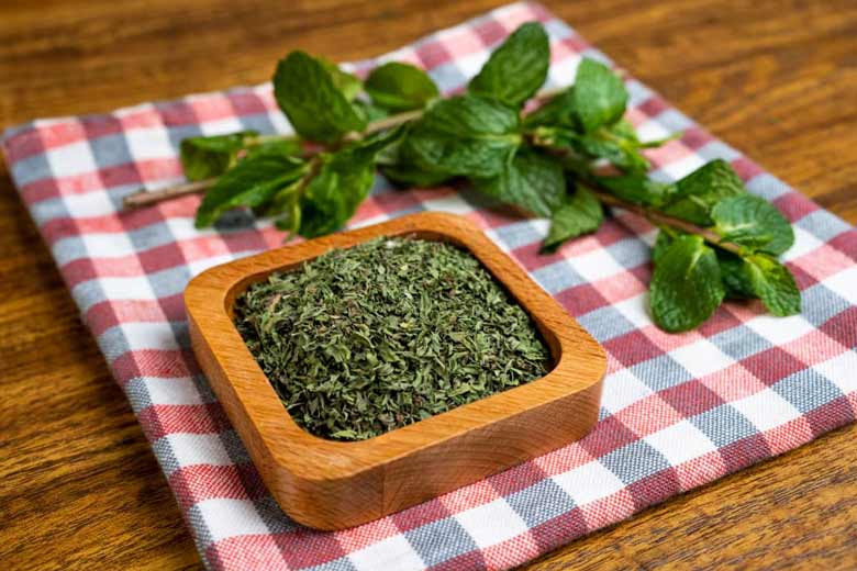 Wholesale Dried Mint from Iran | Buy Bulk Dried Mint + Price Wholesale Dried Mint from Iran | Buy Bulk Dried Mint + Price