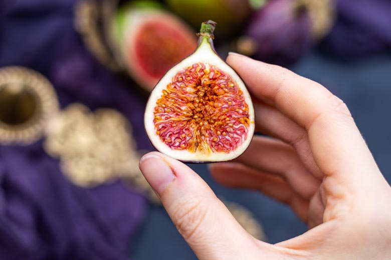 Wholesale Fig from Iran | Buy Bulk Fig + Price