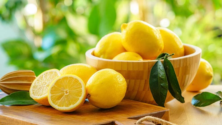 Wholesale Lemon from Iran | Buy Bulk Lemon + Price