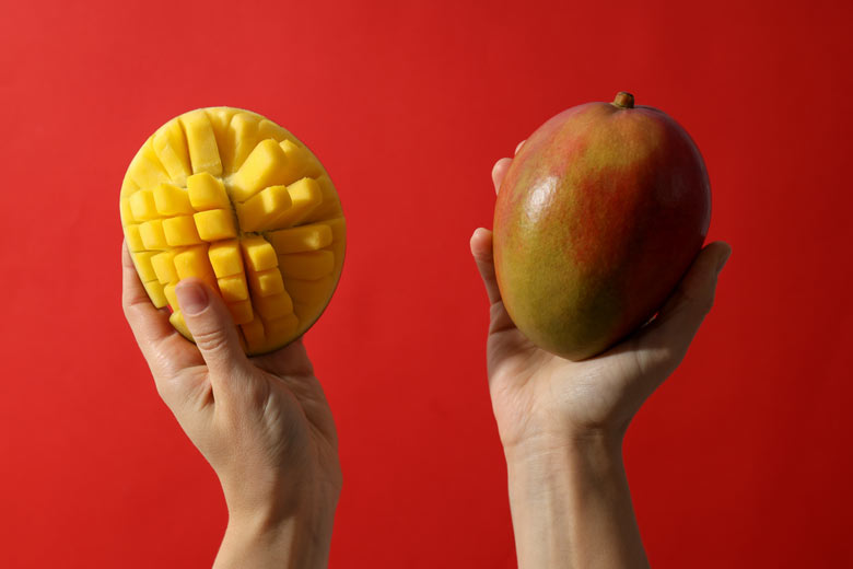 Wholesale Mango from Iran | Buy Bulk Mango + Price