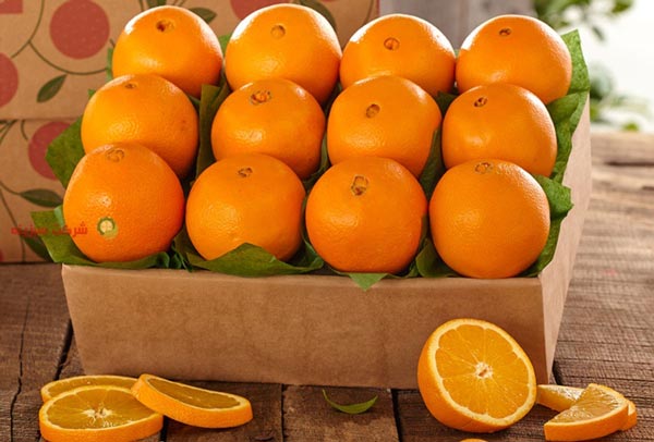 Wholesale Orange from Iran