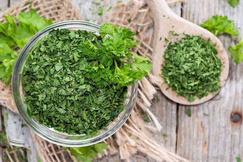 Wholesale Dried Parsley from Iran | Buy Bulk Dried Parsley + Price Wholesale Dried Parsley from Iran | Buy Bulk Dried Parsley + Price