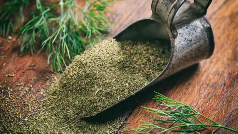 来自伊朗的干莳萝批发 | 批量购买干莳萝 + 价格