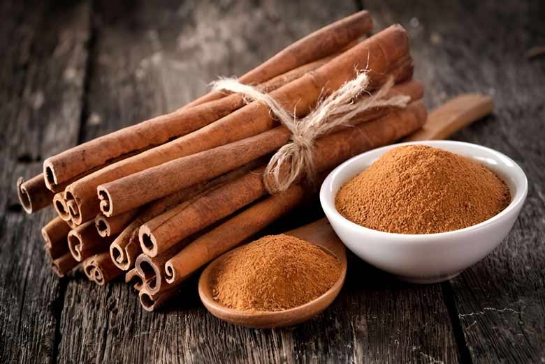 Wholesale cinnamon from Iran | Buy Bulk cinnamon + Price